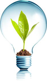 Sustentabilidade